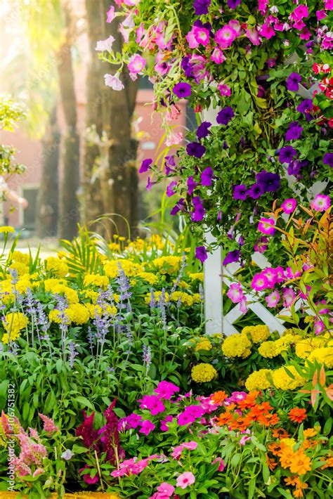 Flower 的图像结果