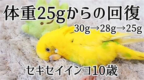 Image result for Quicksort Algorithm Pivot Example