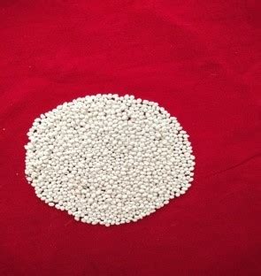 Seed :: Oil Seeds :: Gingelly