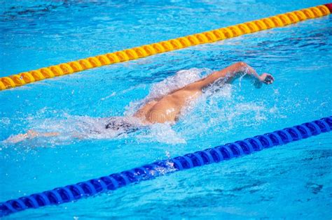 Freestyle Swimming 的图像结果