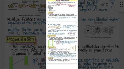 Image result for Class 10 Reproduction Shubham Pathak