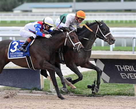 O'Connor edges Grand Aspen in Harlan's Holiday | BRISnet.com Trusted ...