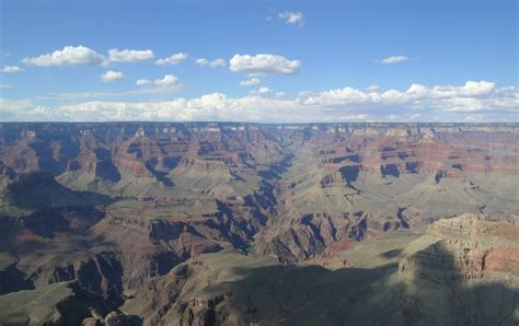 Image result for Uniformitarianism Fossil Examples