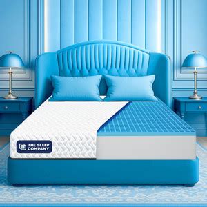 The Sleep Company Orthopedic Grid Mattress | SmartGRID Technology ...