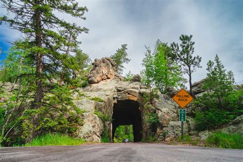 15 Best Things to Do in Custer State Park - TripSearch