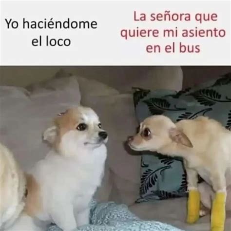 Instagram photo by ★ • Nov 17, 2024 at 11:35 AM