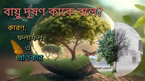 বায়ু দূষণ কাকে বলে? বায়ু দূষণের কারণ, ফলাফল ও প্রতিকার। - Ask 3schools