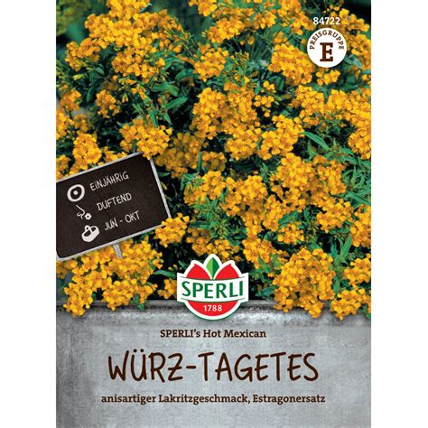 Sämerei-Kräuter-Würz-Tagetes, Mexikanischer Estragon ‚SPERLI´s Hot ...
