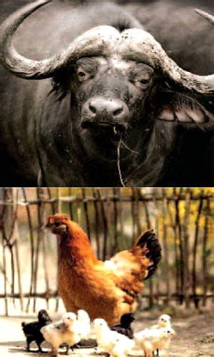 Wintrust Pharmaceuticals