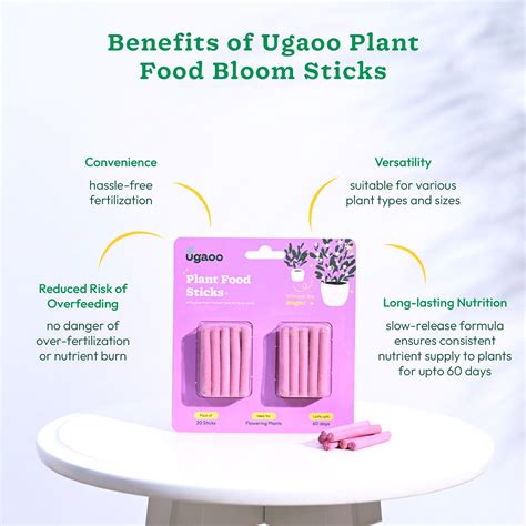 Bloom Stick Fertilizer Packs: Nourish Plants for Stunning Blooms – Ugaoo
