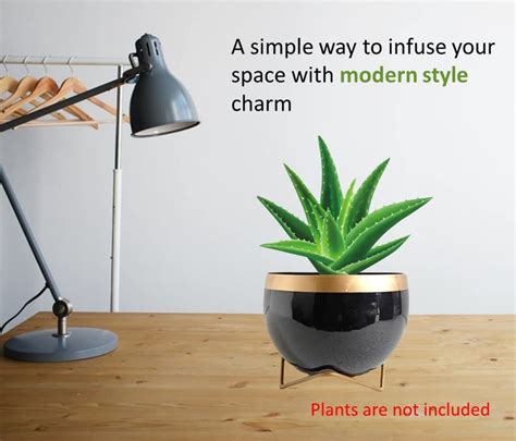 Black Metal Planter Pot with Gold Stand, Set of 1, Modern Style Planter ...