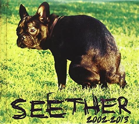 Seether: 2002-2013: Seether: Amazon.fr: CD et Vinyles}