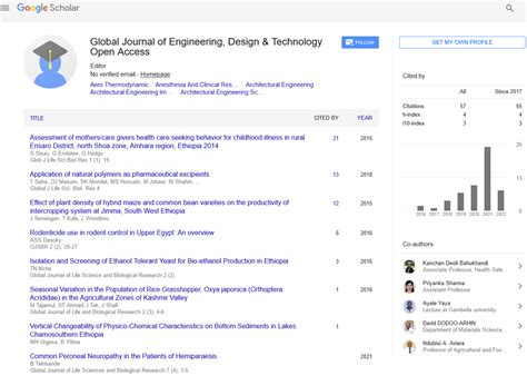 Example Engineering Journal 的图像结果