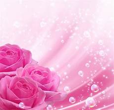 Pink Background Images by Pink Backgrounds Wallpaper Cave Pink Background Images