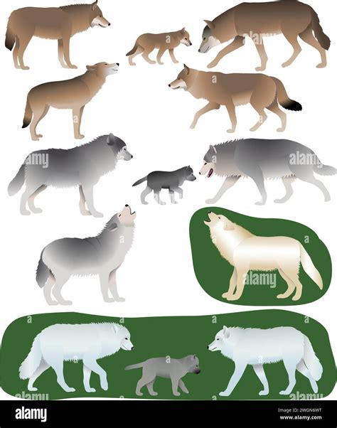 Howling wolf design hi-res stock photography and images - Alamy