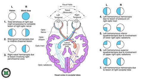 Portfolio images, Portfolio website, Graphic design