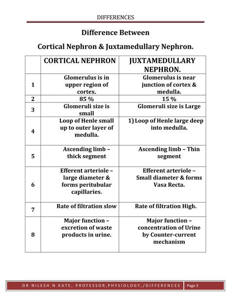 Differences cortical vs juxtamedullary nephron | PDF
