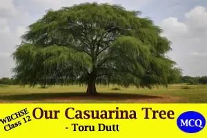 Our Casuarina Tree by Toru Dutt - MCQs with Answers | Class 12 English ...