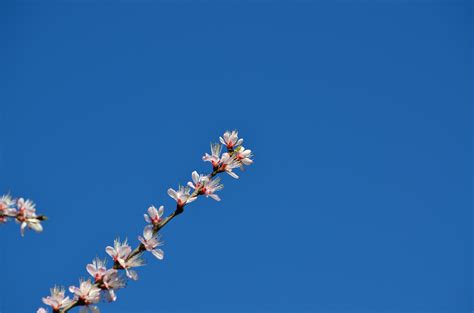 【春暖花开2摄影图片】风光摄影_qz30889840_太平洋电脑网摄影部落