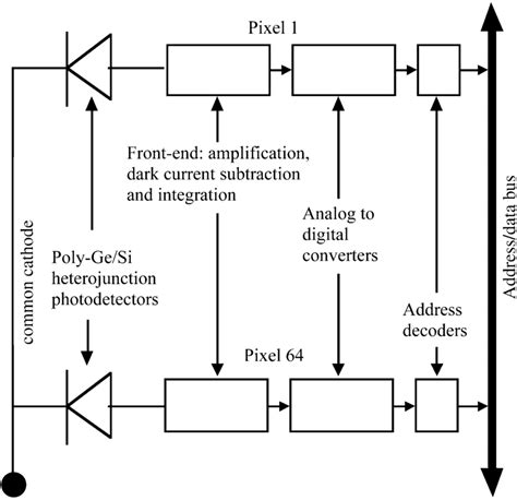 Image result for Linear Algorithm Array Java