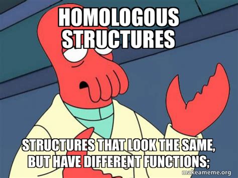 Structure Meme 的图像结果
