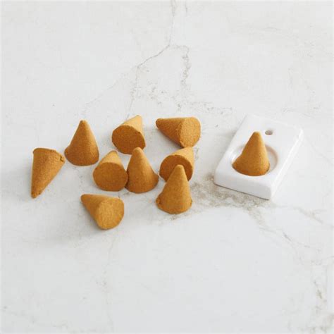 Buy Redolence 20Pcs Neroli Incense Sticks with Holder from Home Centre ...