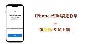 Esim Tutorial 的图像结果