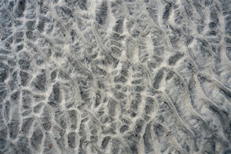 Earth No Background 的图像结果