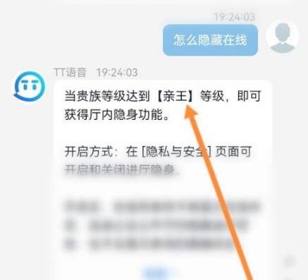 tt语音如何隐藏在线状态 tt语音隐藏在线状态方法介绍_历趣