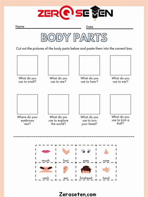 Body-Parts - Zero se Ten Blog