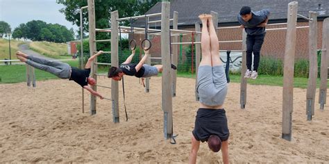 Bildergebnis für calisthenics für anfänger