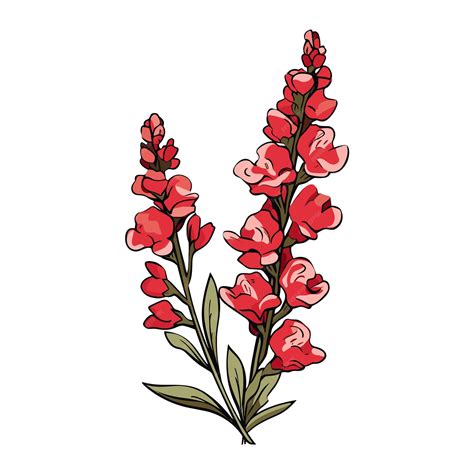 Premium Vector | Hand Drawn Flat Color Snapdragon Flower Illustration
