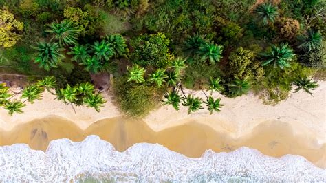 Aerial landscape view of Bureh Beach, Freetown, Sierra Leone | Windows Spotlight Images