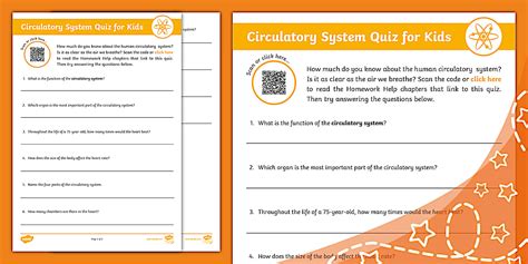 Circulatory System Quiz for Kids