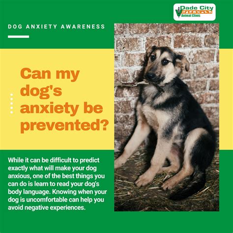 DADE CITY ANIMAL CLINIC - Dade City FL - Hours, Directions, Reviews ...