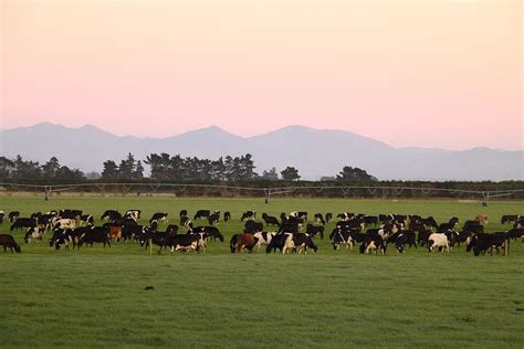 Image result for Home Fertigation System