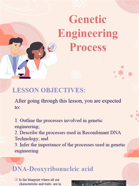 Image result for Genetic Engineering Process Diagram
