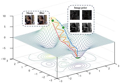 Dual-Branch Discrimination Network Using Multiple Sparse Priors for ...