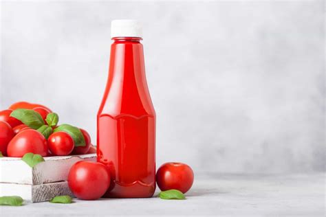 Can Cats Eat Ketchup - All About It