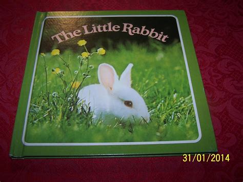 Buy THE LITTLE RABBIT Book Online at Low Prices in India | THE LITTLE ...