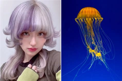 Why are people cutting their hair to look like a jellyfish? ‘Edgy ...
