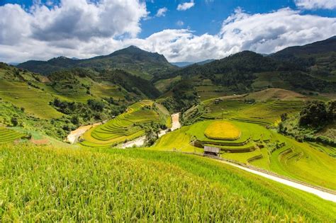 Rice fields at northwest vietnam | Premium Photo