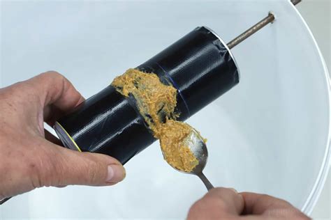 20 All-Natural Rat Baits for Your Mouse Traps