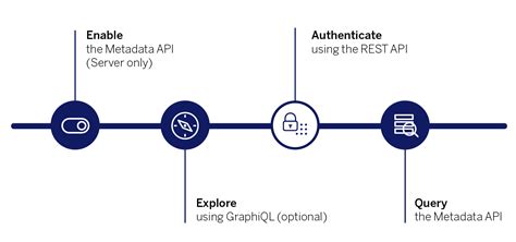 Tableau Metadata API 的图像结果