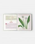 Edible Wild Plants and Herbs book: A compendium of recipes and remedies ...