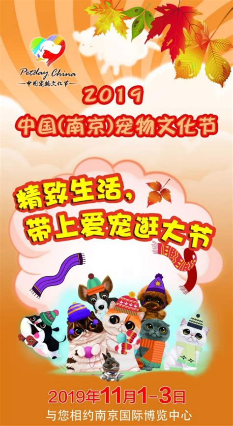 2019年南京宠物文化节