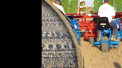 Image result for Ferrari Transplanter