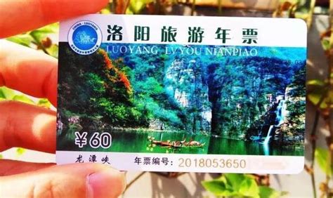 洛阳旅游年票大湾区纪念卡包含景点名单_旅泊网