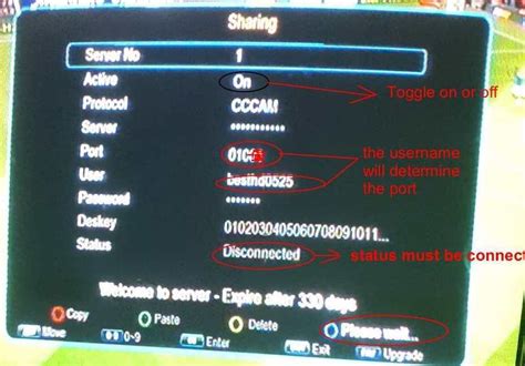 Image result for Setup Cccam Server