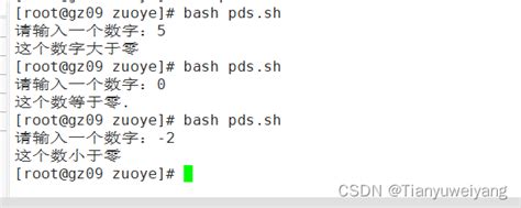 shell脚本基础之详解基本脚本的构建（一）_运行shell脚本需要搭建什么-CSDN博客